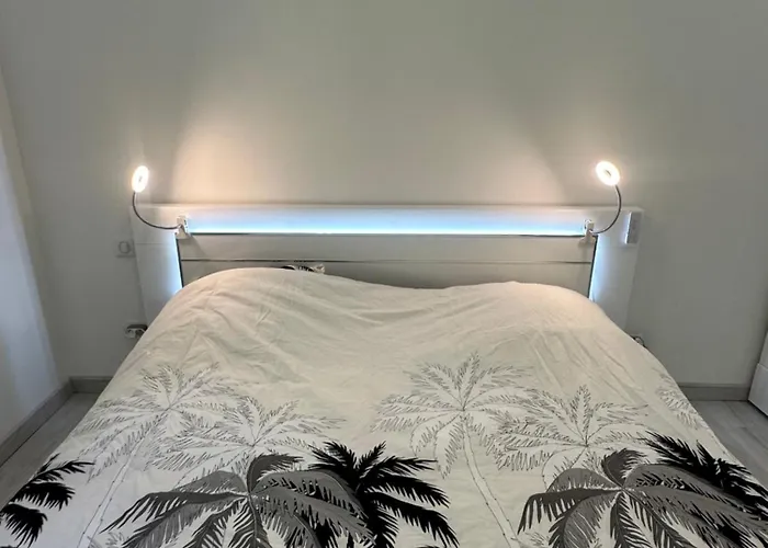 Sun *