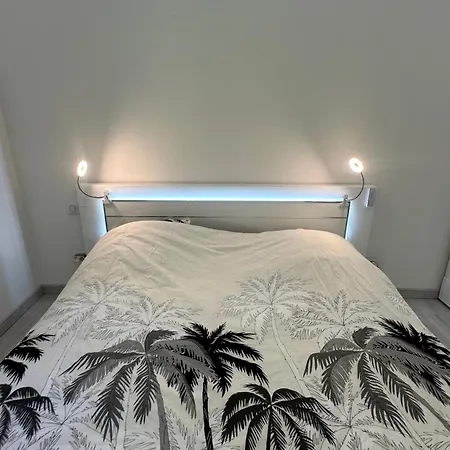 Sun *
